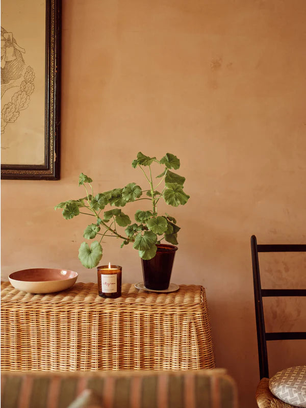 'Sitting Room' Candle - Green Sandalwood & Fern