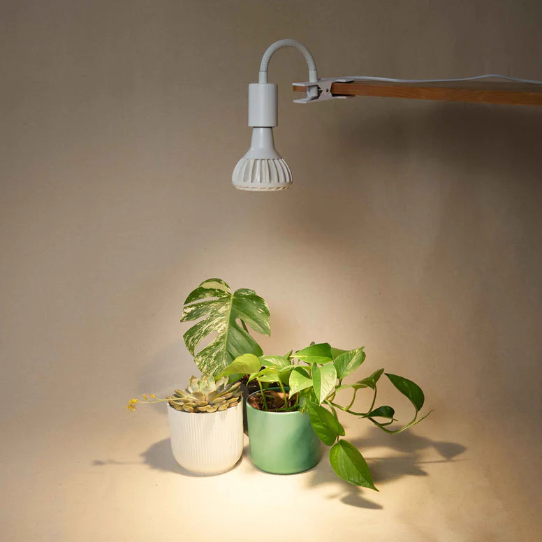 Stelo Gooseneck Clip On Bulb Holder The Every Space