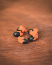 Houseplant Grow Sets