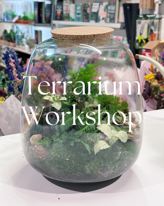 Terrarium Making Workshop Thursday 18th July