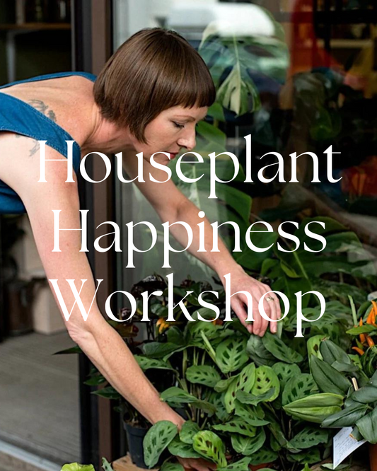 Houseplant Happiness Workshop Tuesday 8th October 2024