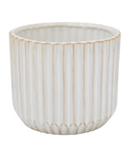 Ivyline Willow small ivory ribbed ceramic plant pot, 12cm