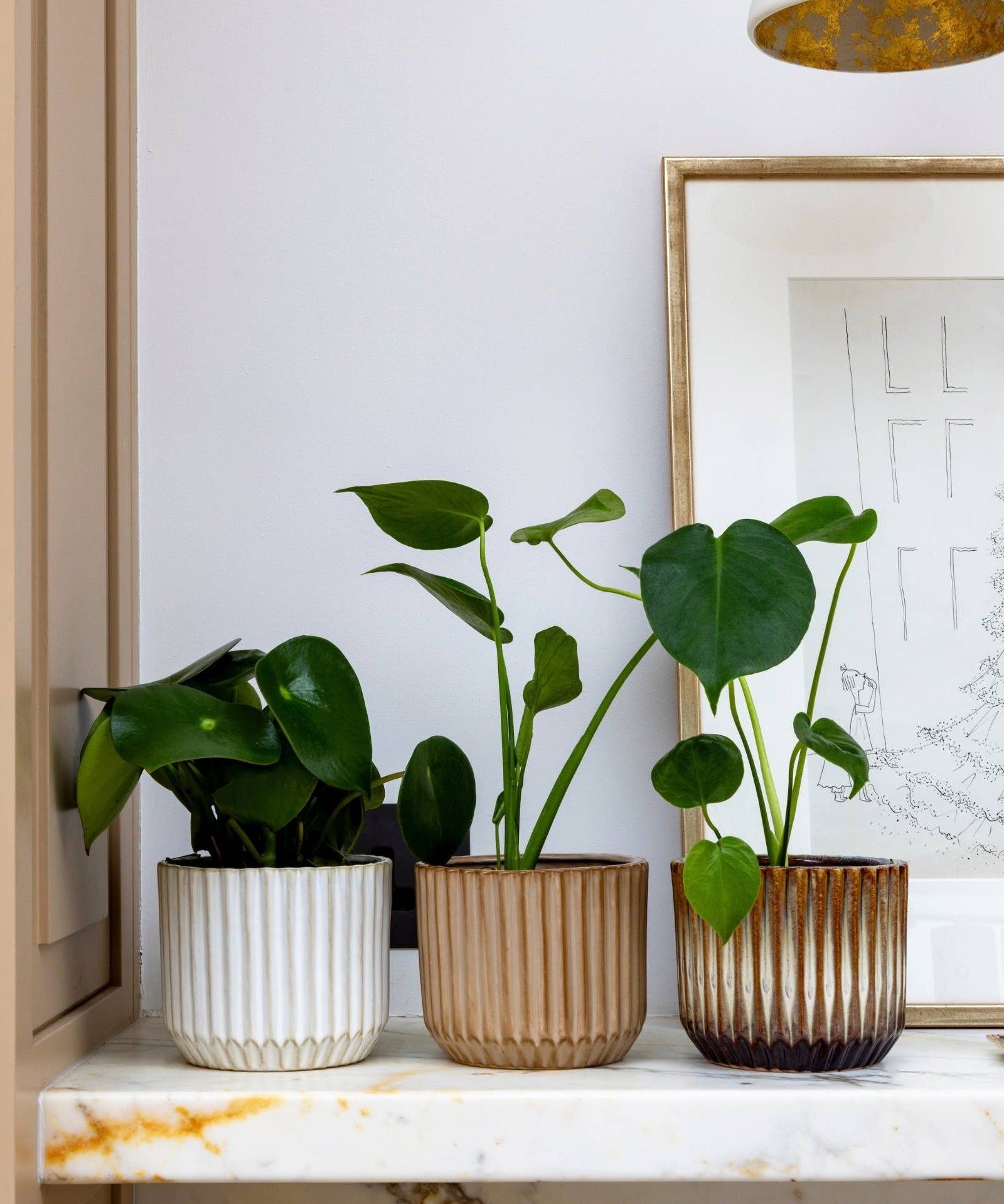Group of 3 ribbed pots on a shelf