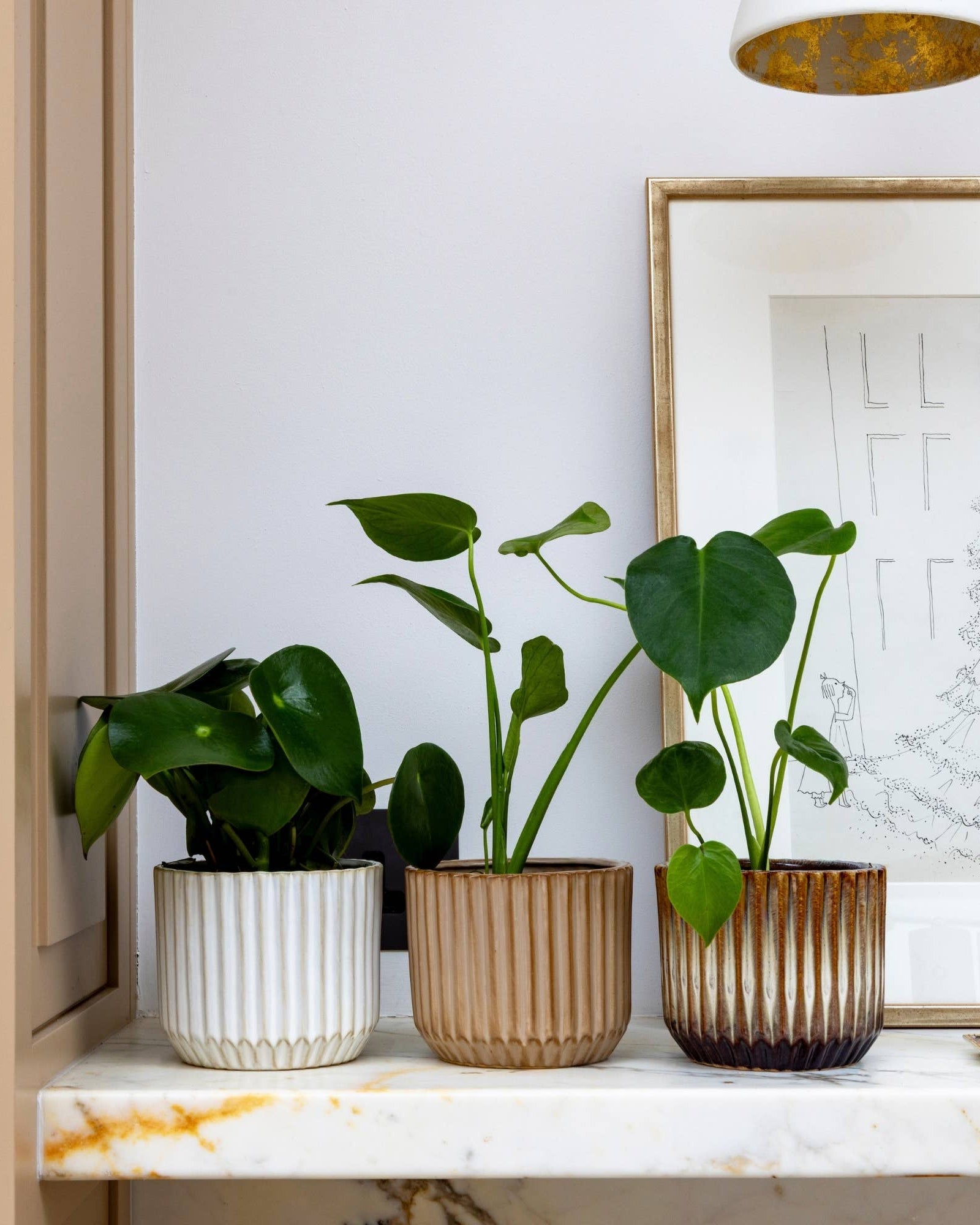 Group of 3 ribbed pots on a shelf