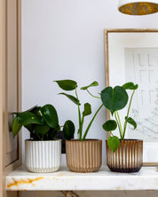 Group of 3 ribbed pots on a shelf