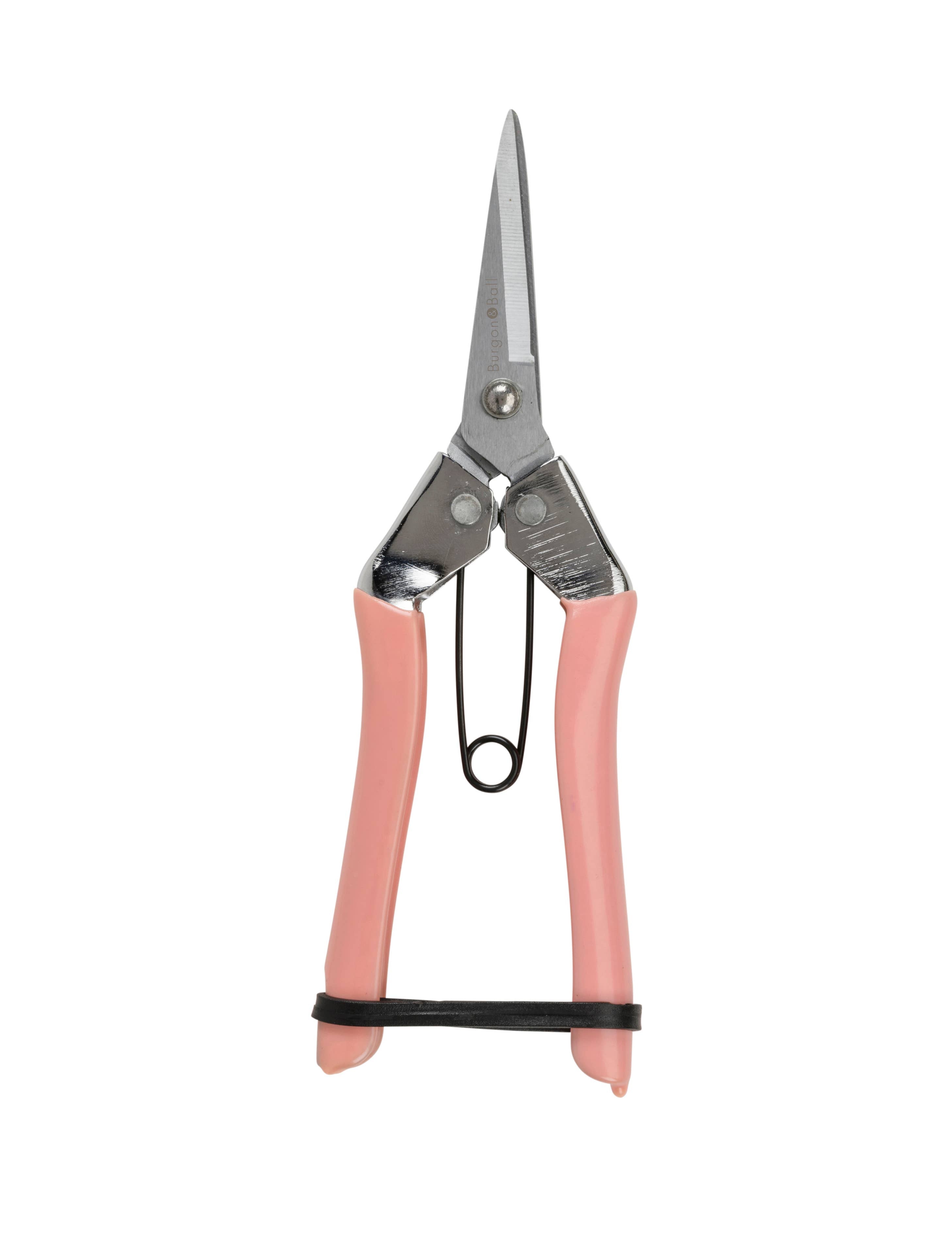 Blush Fruit and Flower Snips
