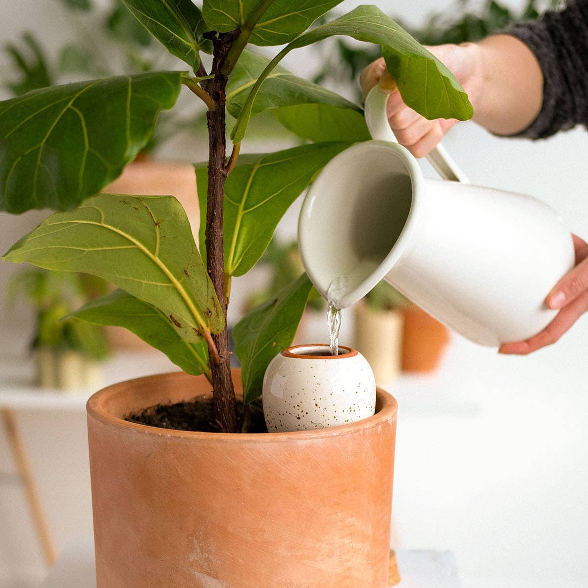 Olla Plant Waterer | Speckled white