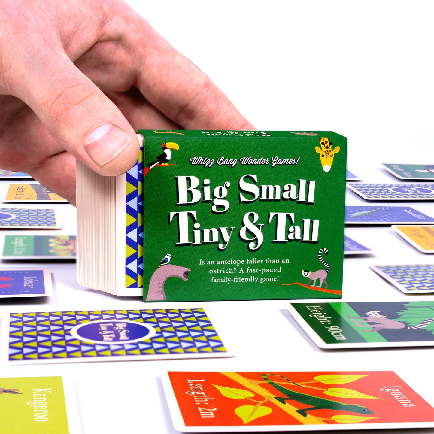 Big Small Tiny and Tall Card Game
