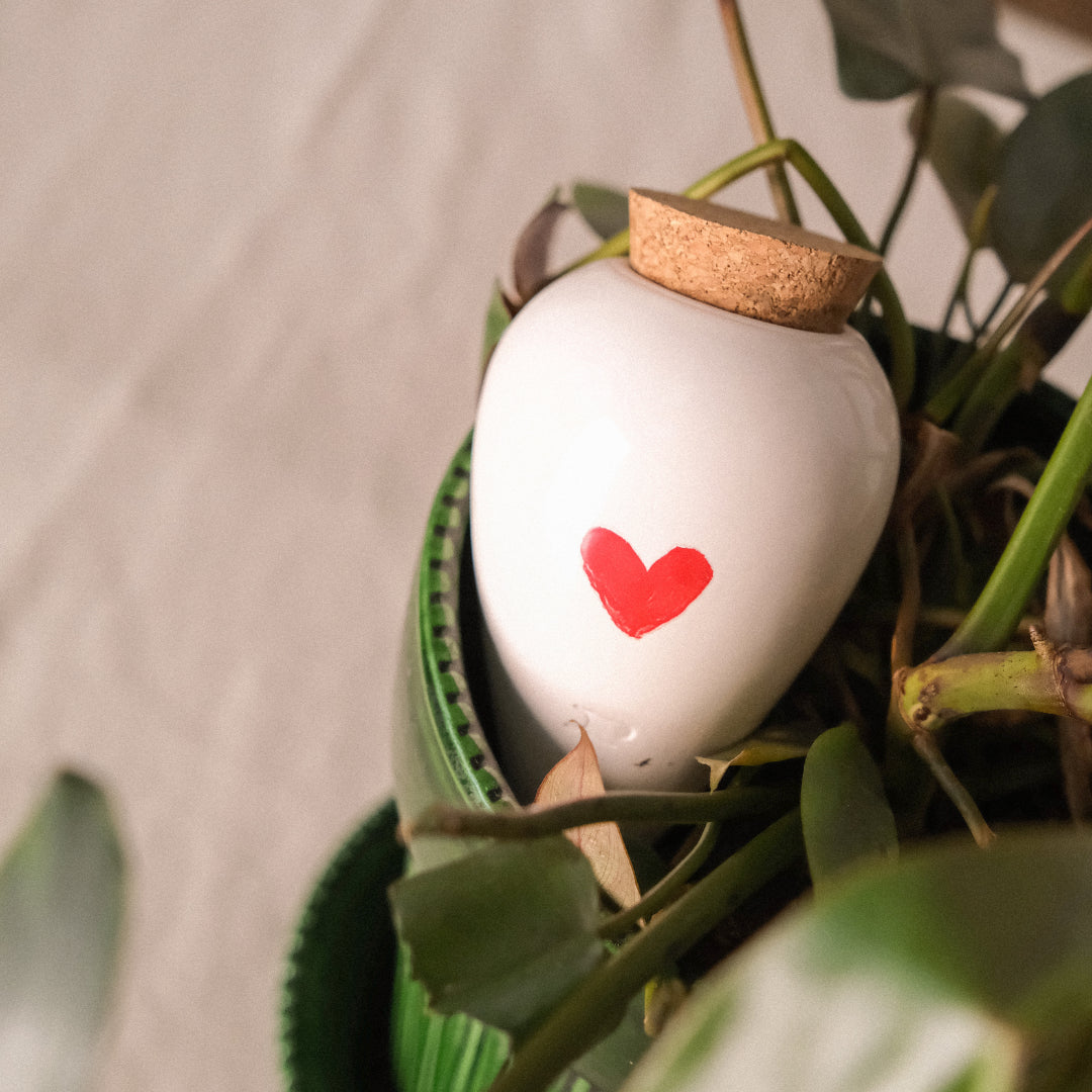 Olla Plant Waterer |  Heart