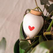 Olla Plant Waterer |  Heart