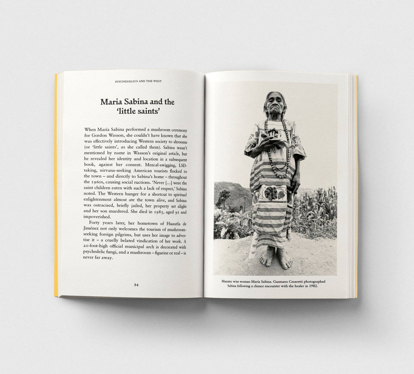 Psychedelics, A Pocket Primer