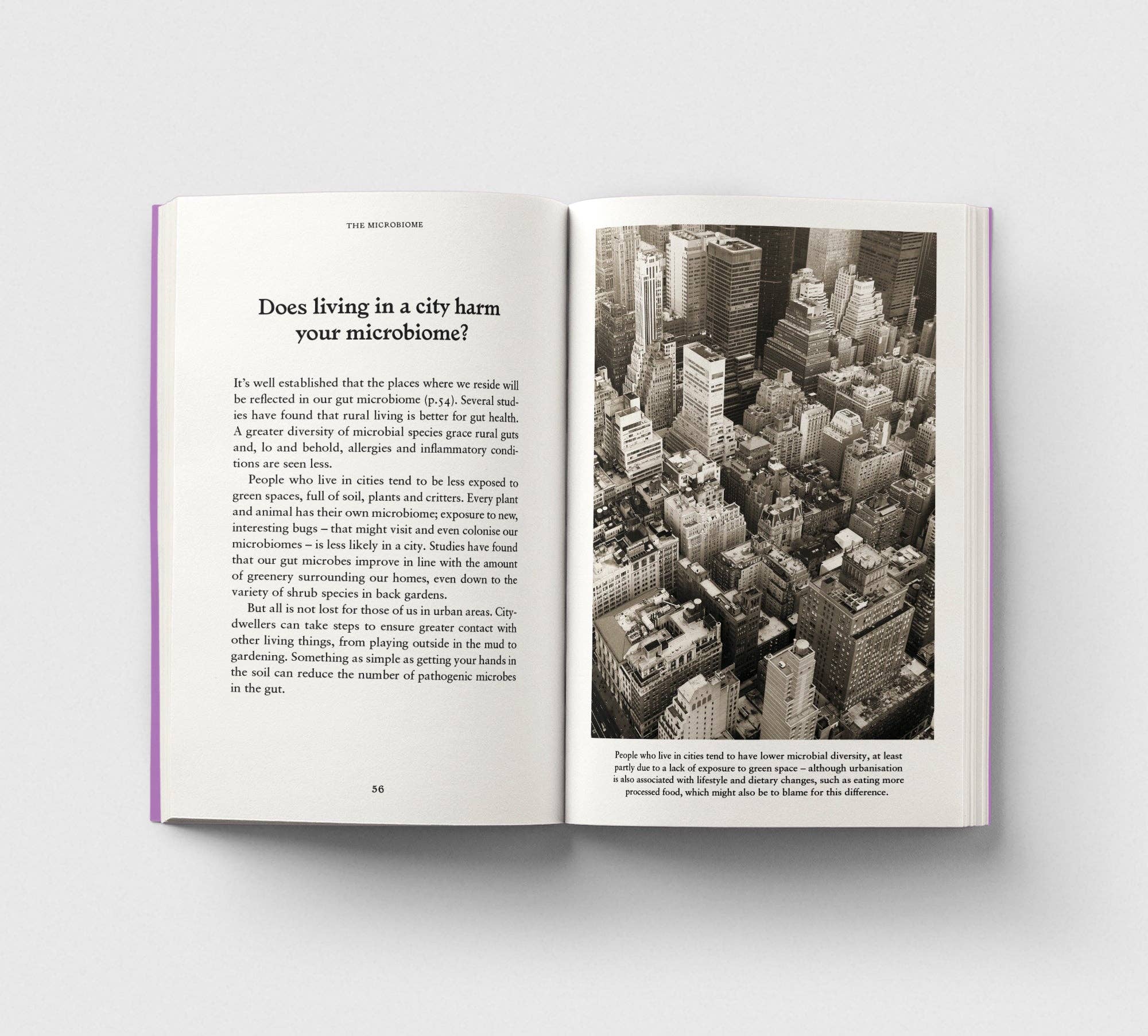 The Gut, A Pocket Primer