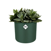 B.For Soft Round 30cm Pot Leaf Green