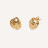 Cockle Stud Earrings