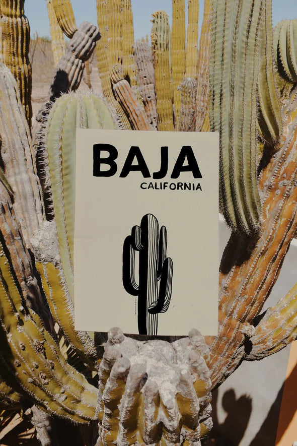 The Every Space monochrome minimalist Baja California A3 Giclée art Print with Cardon cactus by Noama