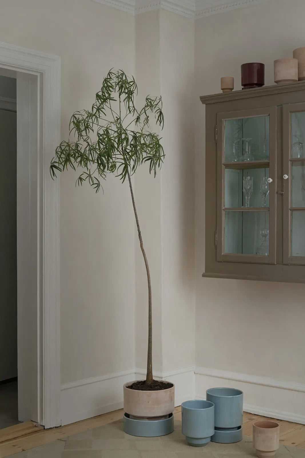 Saucer Glazed Finish for Hoff Pot Ø14cm 