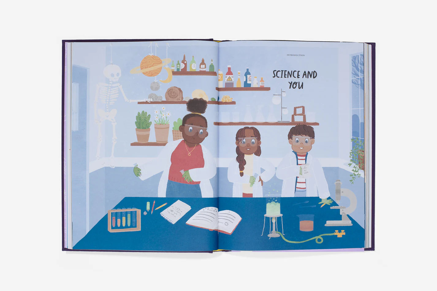 Big Ideas from Science: How scientific discoveries shape our lives (Hardback)