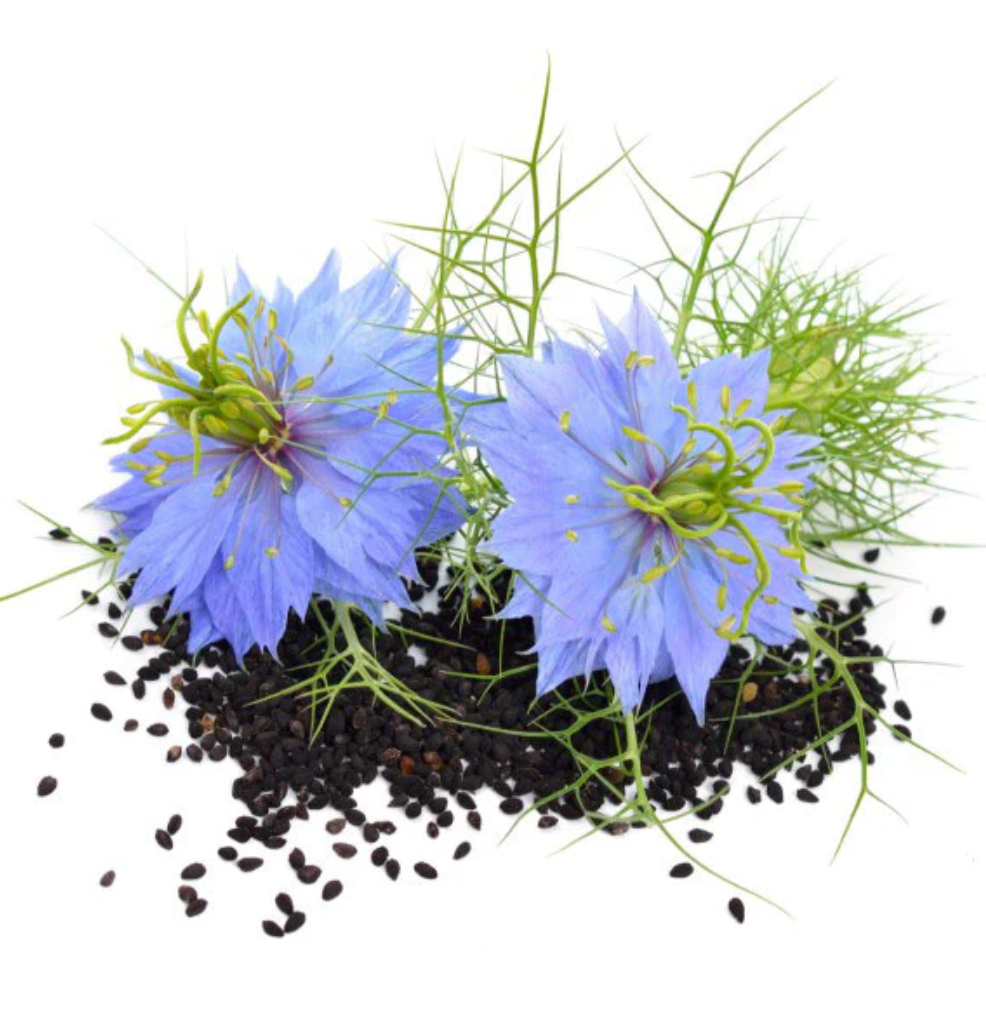 Nigella Black Cumin Seeds