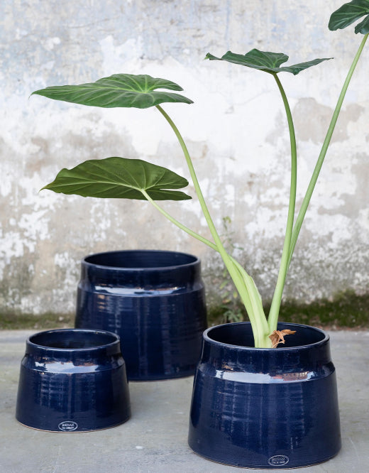 The Every Space indoor Blue Glazed Plant Pot in terracotta with dark blue glaze by Serax