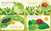 The Secret Life of Bugs, Bees & Trees - Stars of Nature