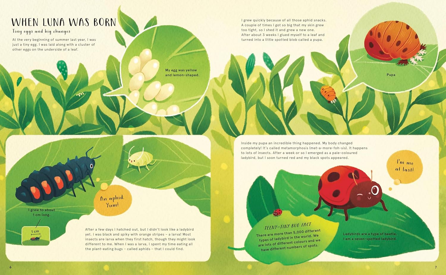 The Secret Life of Bugs, Bees & Trees - Stars of Nature