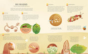 The Secret Life of Bugs, Bees & Trees - Stars of Nature