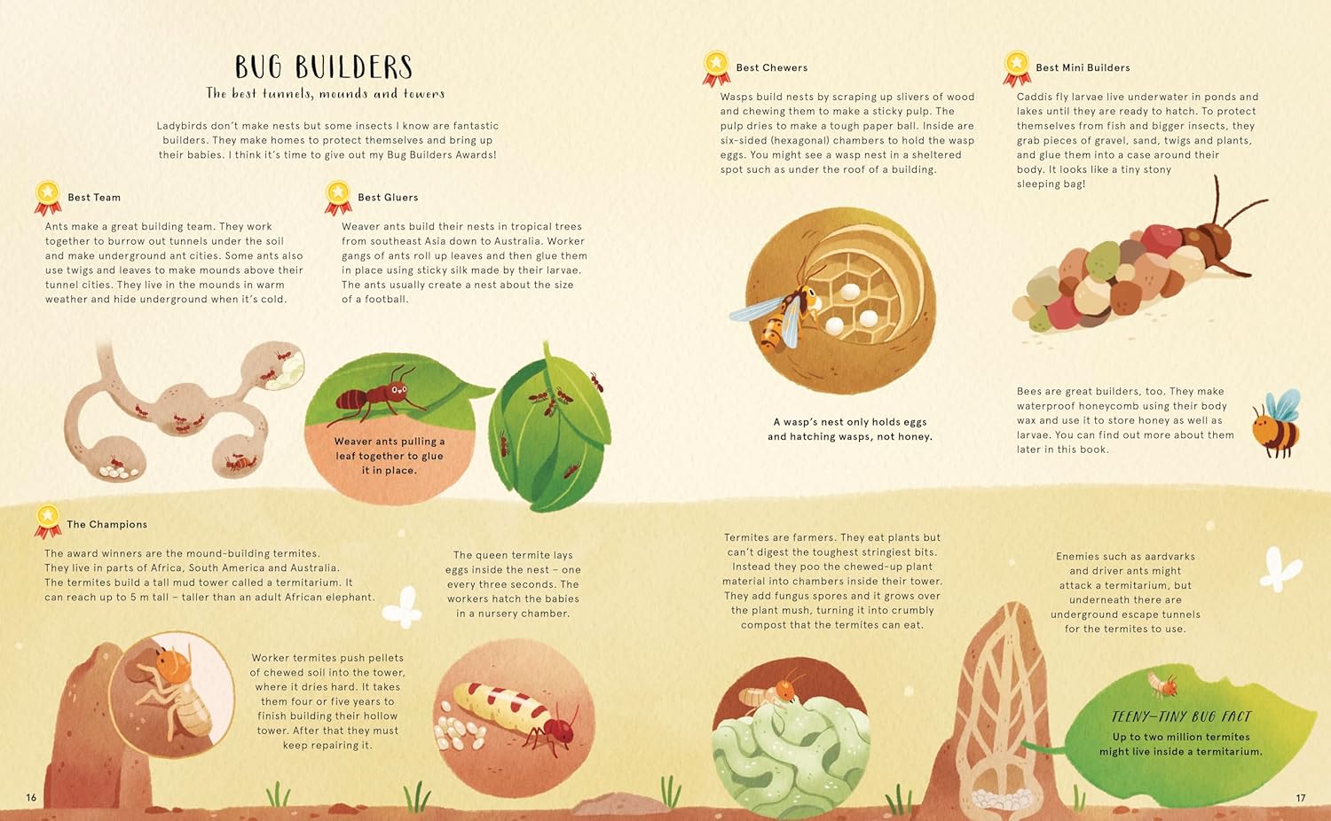 The Secret Life of Bugs, Bees & Trees - Stars of Nature