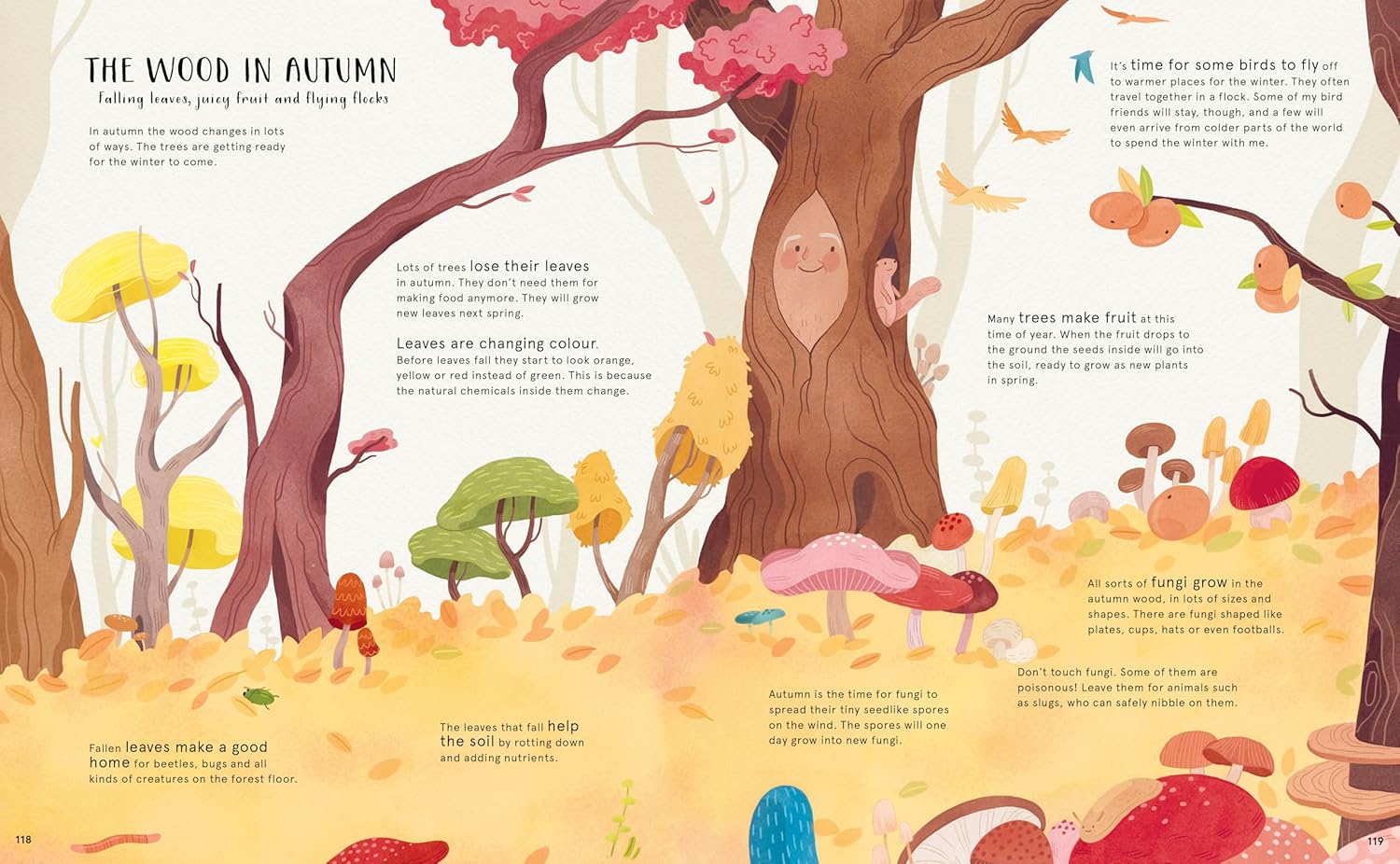 The Secret Life of Bugs, Bees & Trees - Stars of Nature