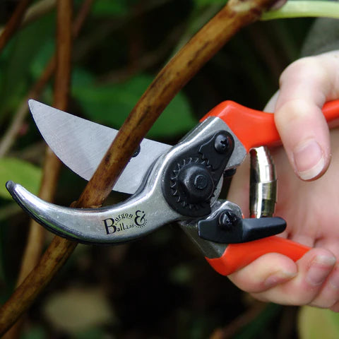 Bypass Secateur