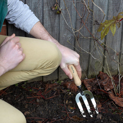 Stainless Hand Fork | RHS Endorsed