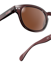 Sunglasses ‘Old Leather’ #C