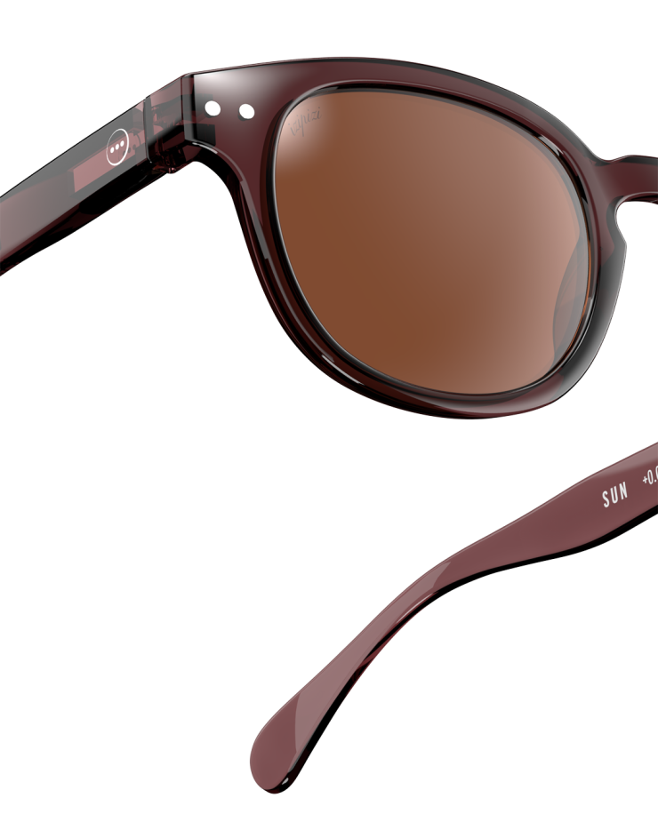 Sunglasses ‘Old Leather’ #C