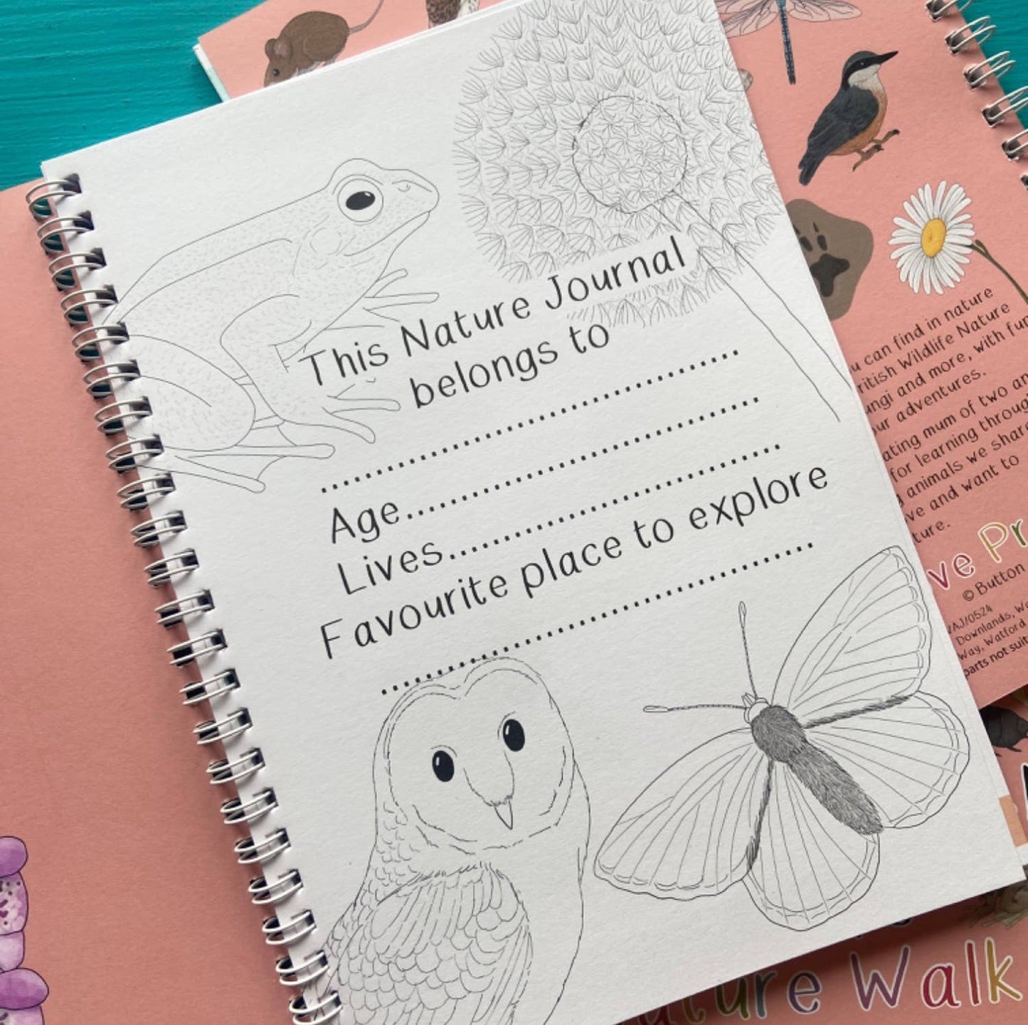Amazing British Nature Walk Activity Book and Nature Journal