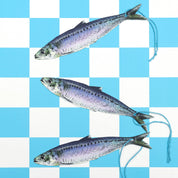 Sardine Gift Tags (Pack of 8)
