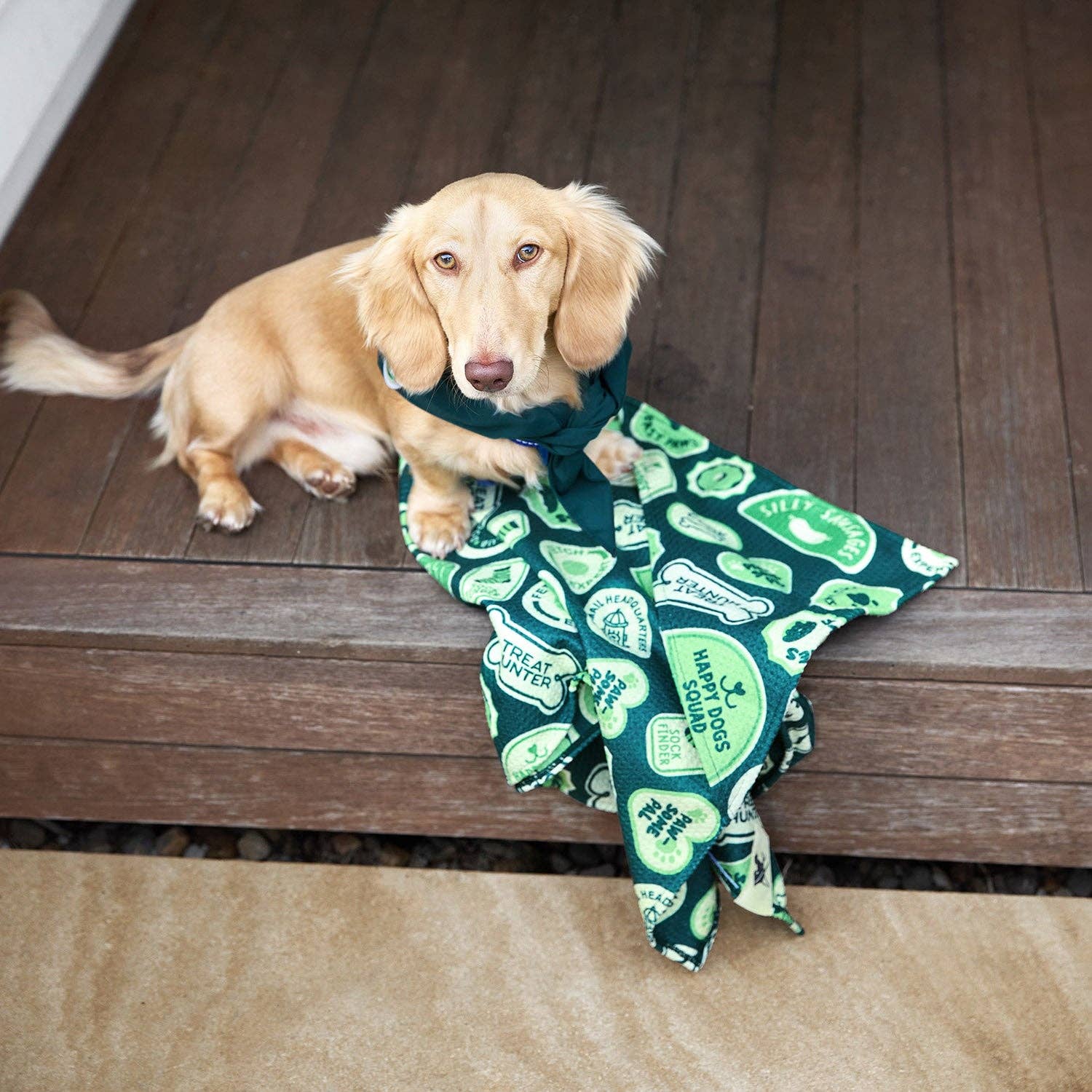 Dock & Bay Dog Towel - Dog & Bay Club