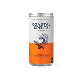 Pentire Coastal Spritz Can 200ml