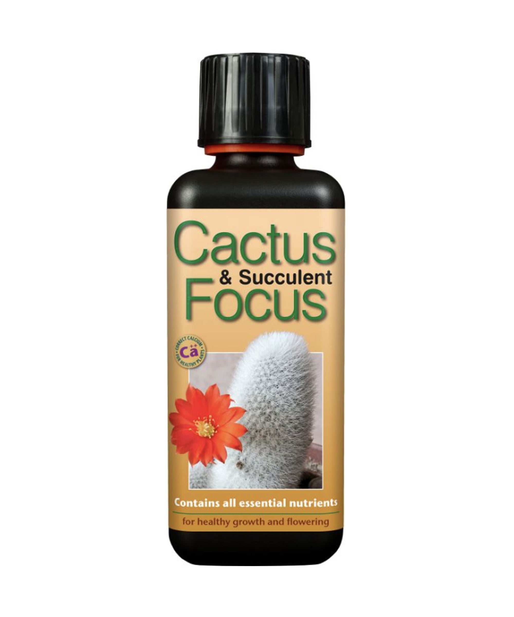 cactus-succulentfocus.jpg