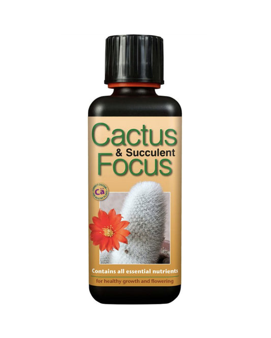 Cactus & Succulent Focus 300ml