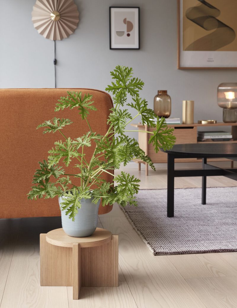 Care Pots| Ø14cm 0r Ø17cm | Blue