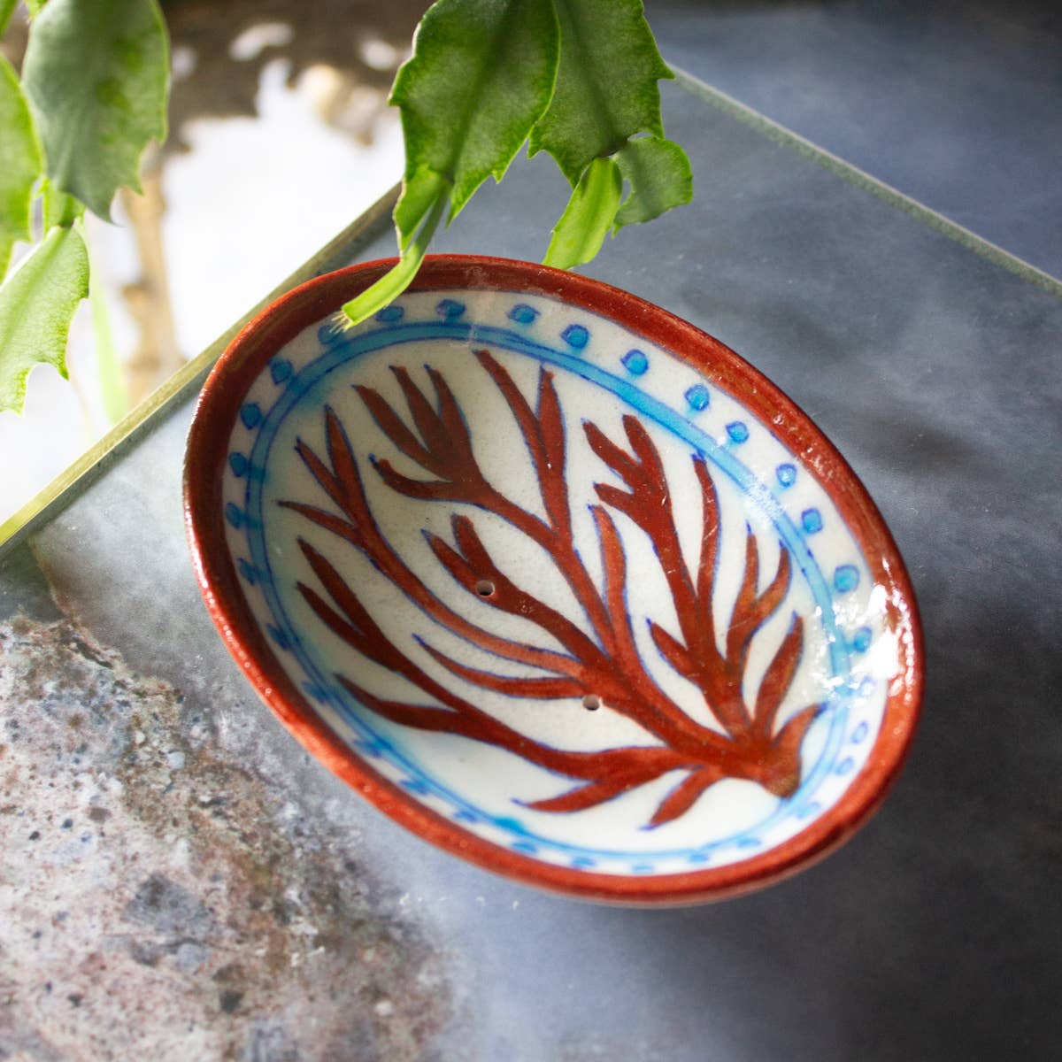 Hand Painted Indian Ceramics Soap Dish | Coral
