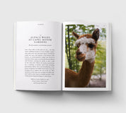 An Opinionated Guide to Fun London