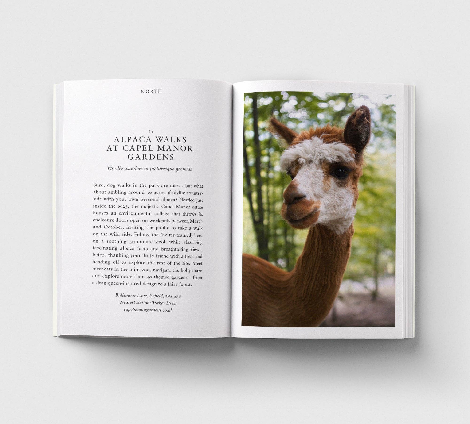 An Opinionated Guide to Fun London