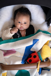 Stroller/Pram Activity Toy | Ladybird