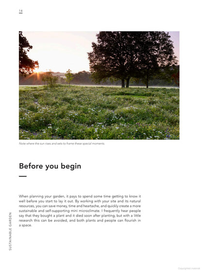 Sustainable Garden: Projects, insights and advice for the eco-conscious gardener