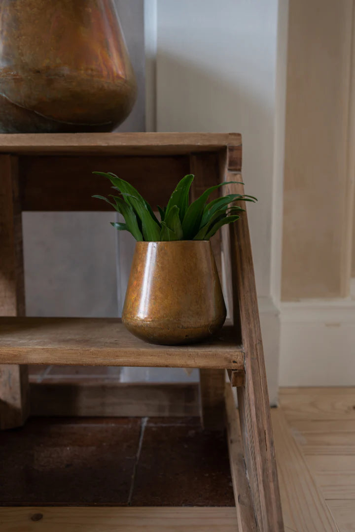 Copper Pot Planters | Ø13cm, Ø19cm, Ø26cm