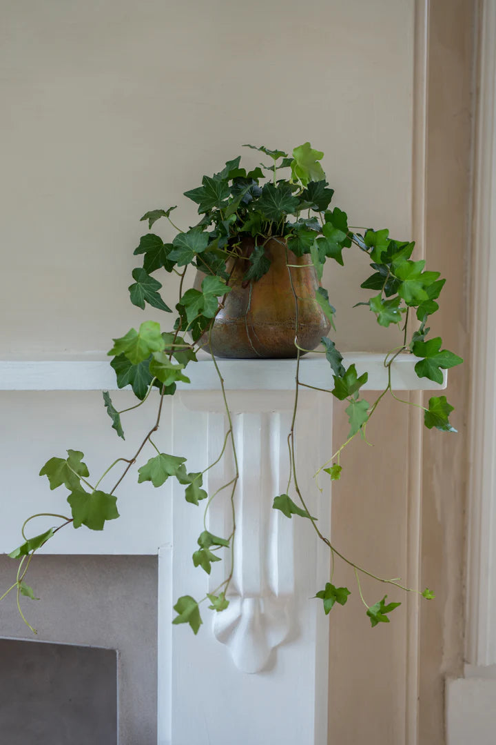 Copper Pot Planters | Ø13cm, Ø19cm, Ø26cm