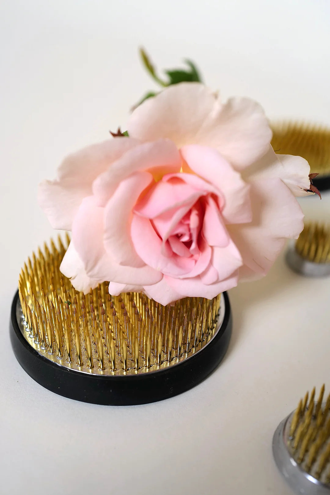 Kenzan | Various Sizes