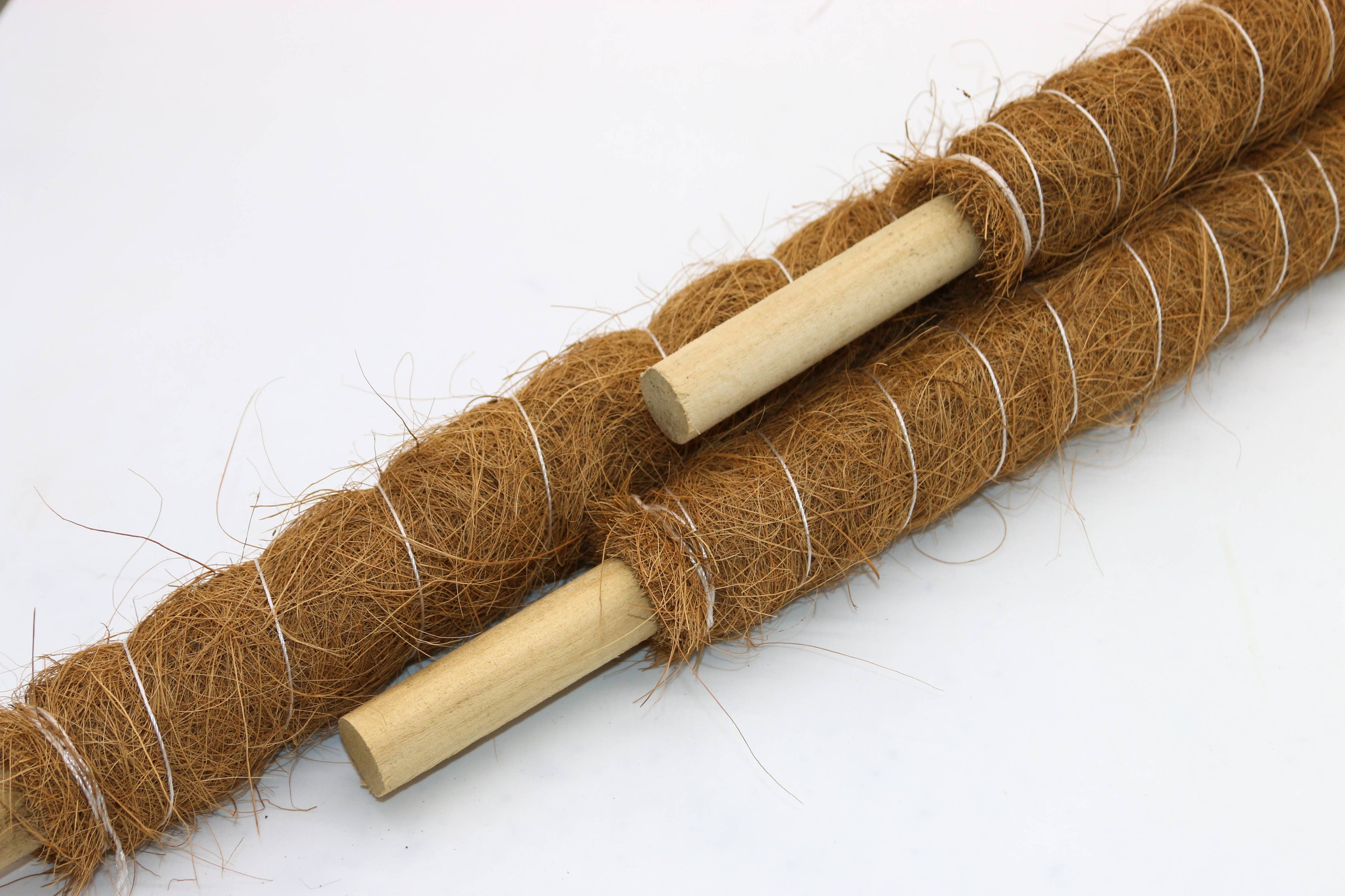 Support Pole for Plants |  Growpoles | Monstera poles