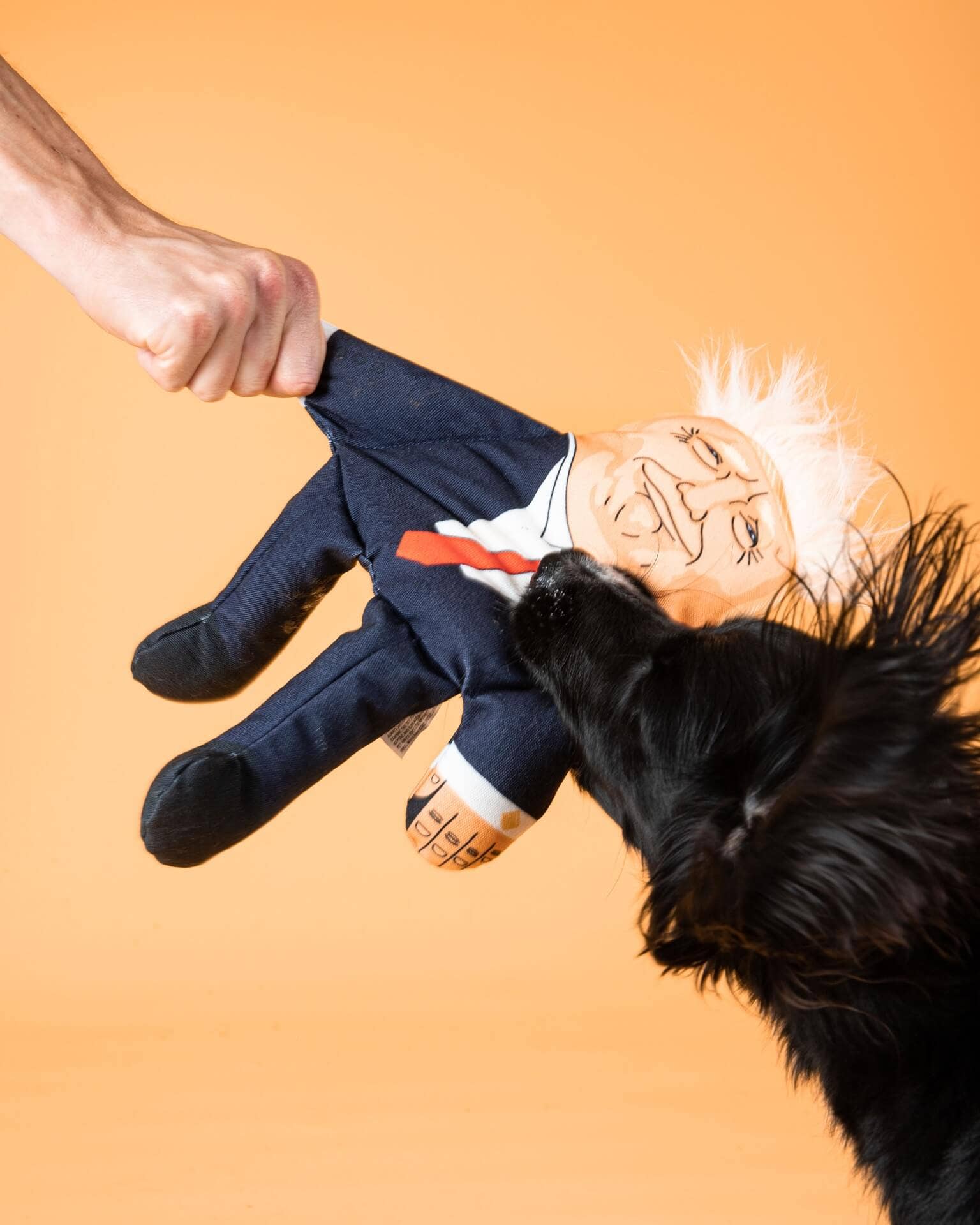 Donald Dog Toy