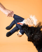 Donald Dog Toy